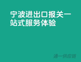 宁波进出口报关，一站式服务体验