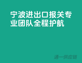 宁波进出口报关，专业团队全程护航