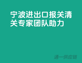 宁波进出口，报关清关专家团队助力