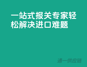 一站式报关专家，轻松解决进口难题