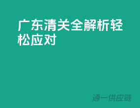广东清关全解析，轻松应对