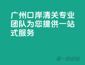 广州口岸清关，专业团队为您提供一站式服务