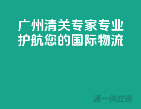 广州清关专家，专业护航您的国际物流