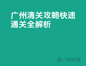 广州清关攻略：快速通关全解析