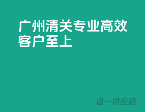 广州清关，专业高效，客户至上