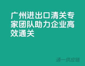 广州进出口清关，专家团队助力企业高效通关