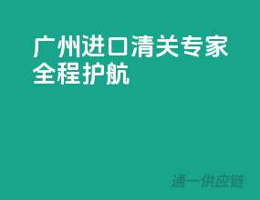 广州进口，清关专家全程护航