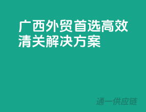 广西外贸首选，高效清关解决方案