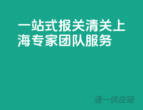 一站式报关清关，上海专家团队服务