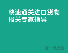 快速通关，进口货物报关专家指导