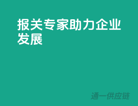 报关专家，助力企业发展