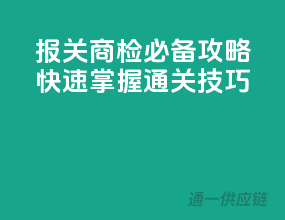 报关商检必备攻略，快速掌握通关技巧