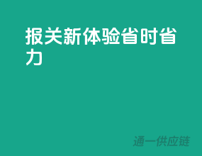 报关新体验，省时省力