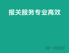 报关服务，专业高效