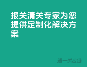 报关清关专家，为您提供定制化解决方案