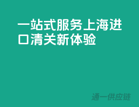 一站式服务，上海进口清关新体验