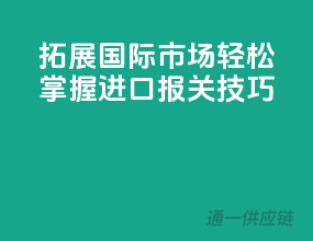 拓展国际市场：轻松掌握进口报关技巧