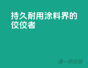 持久耐用，涂料界的佼佼者