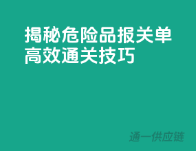 揭秘危险品报关单，高效通关技巧
