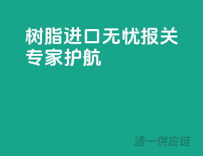 树脂进口无忧，报关专家护航