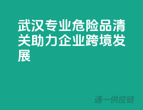 武汉专业危险品清关，助力企业跨境发展