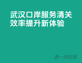 武汉口岸服务，清关效率提升新体验