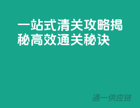 一站式清关攻略，揭秘高效通关秘诀