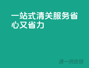 一站式清关服务，省心又省力