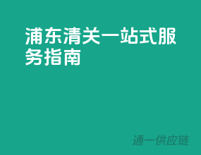 浦东清关一站式服务指南