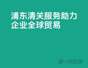 浦东清关服务，助力企业全球贸易