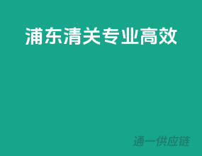 浦东清关，专业高效