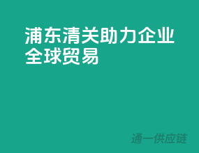 浦东清关，助力企业全球贸易