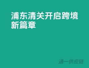 浦东清关，开启跨境新篇章