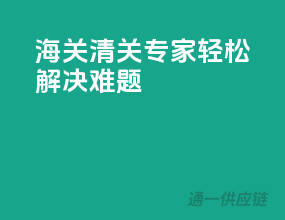 海关清关专家，轻松解决难题