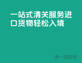 一站式清关服务，进口货物轻松入境