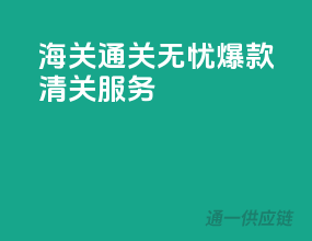 海关通关无忧，爆款清关服务
