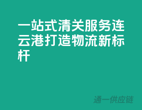一站式清关服务，连云港打造物流新标杆