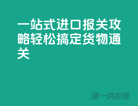 一站式进口报关攻略，轻松搞定货物通关